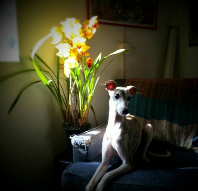 _20151230_135704 (1)