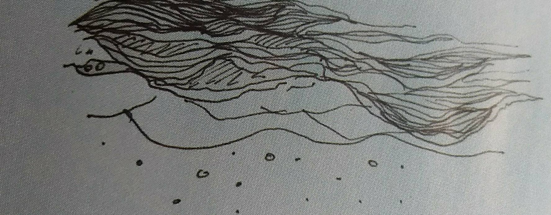 26510293_10155995946148535_406151482_o