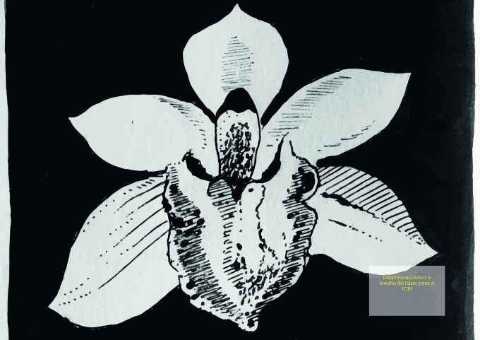 Filipe em foco 3 anos14