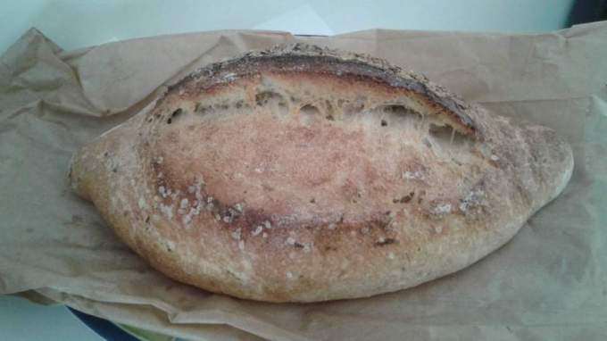 received_1865502730206557